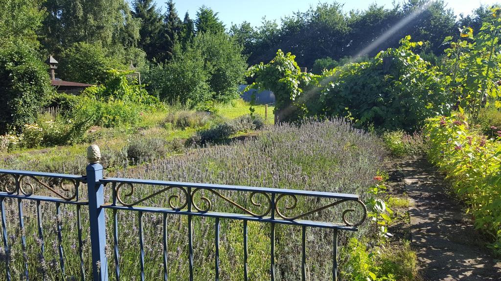 Bloemenboerderij Aperloo Bed & Breakfast Eksteriør bilde